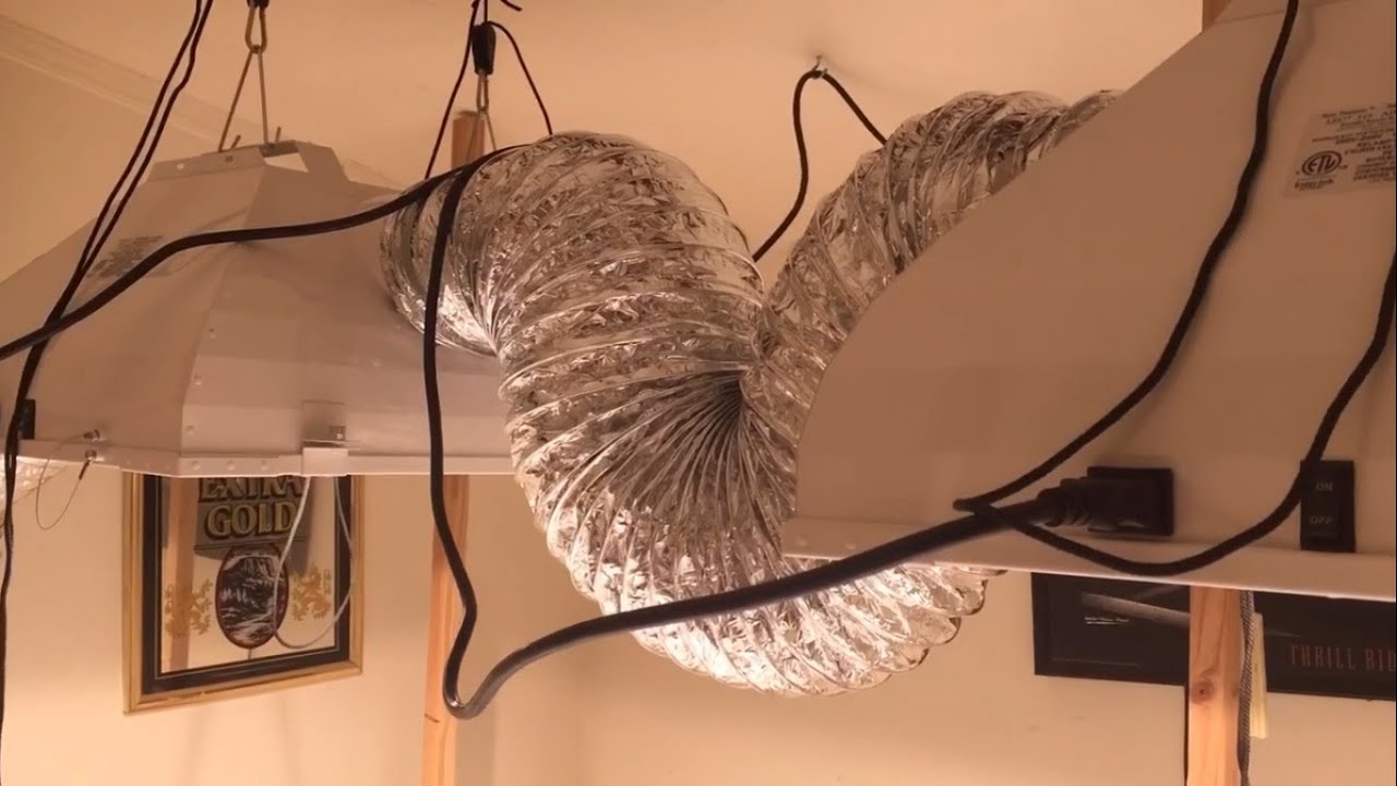 DIY Grow Room. Hydroponics on a budget. YouTube