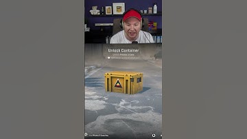 Opening Cases EVERY DAY in CS2 - Day 020/366 | Prisma 2 Case