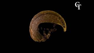 Learn Canva & Photoshop Join Our Graphic Design Course Today Contact 91-8699905246, 9877172198