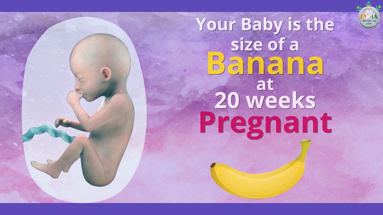 Baby’S Development At 20Th Week Of Pregnancy   Part 1