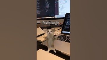 That moment of triumph! 😅🎊 #debugging #coding #programming #developer #thewebcookies