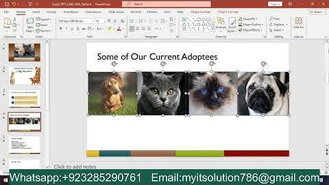 Exp22 PowerPoint Ch03 Cumulative Bryce Adventure Camp