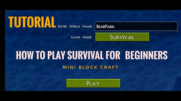How to play Survival Mini block craft