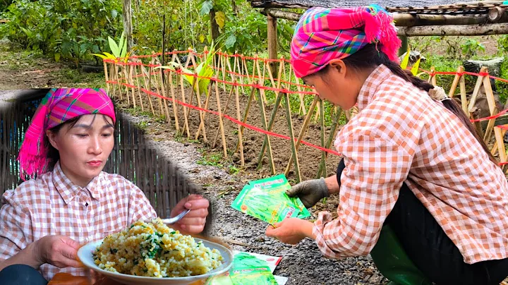 On a rainy day, the single mother fenced off her vegetable garden and then made fried rice for lunch
