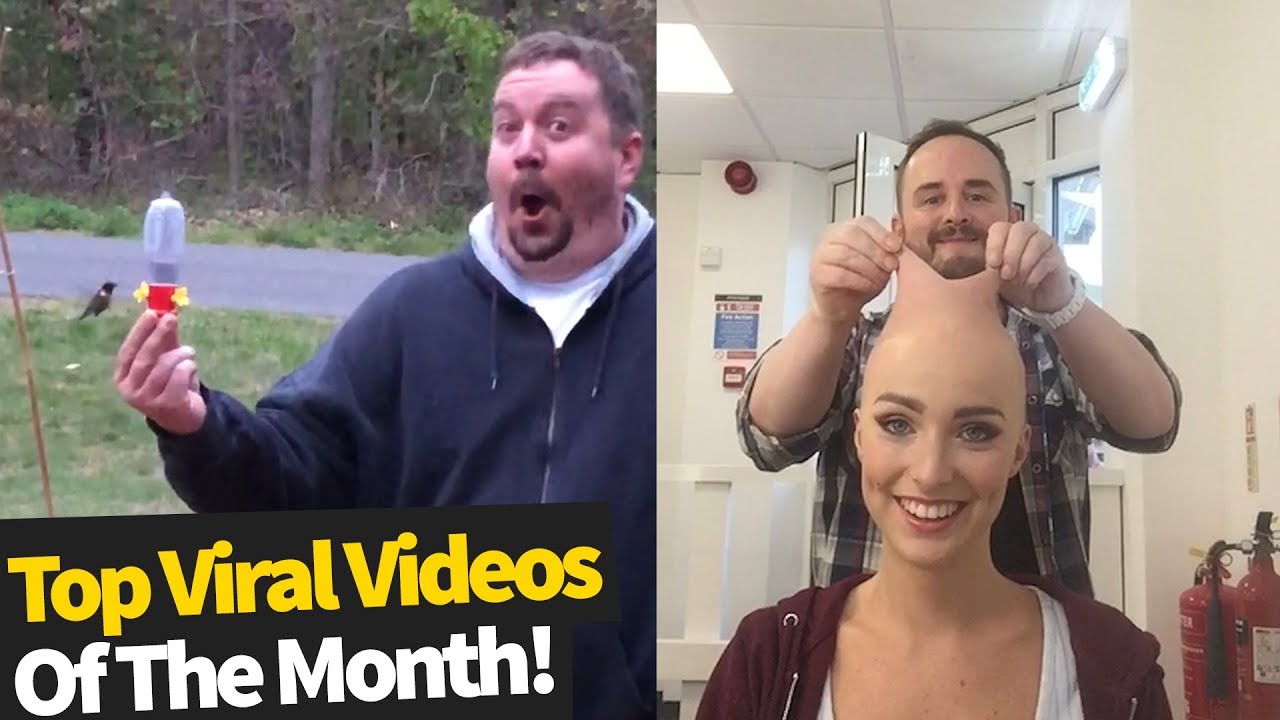 Top 30 Best Viral Videos Of The Month - May 2020  Part 2