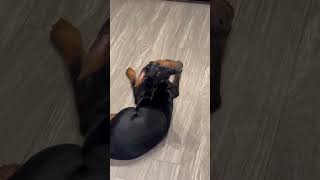 The Dobe Lean