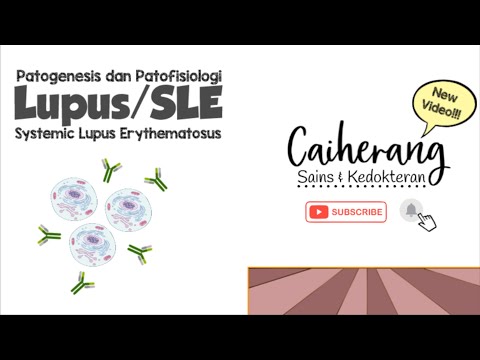 Video: Perbezaan Antara Patofisiologi Dan Patogenesis