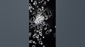 #Noisy #touchdesigner #tutorial