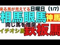 【フェアリーS1月7日】平場戦の午前中から勝負馬あり イチオシ馬は絶好調の金杯的中 #競馬 #勝負 #関係者 #情報