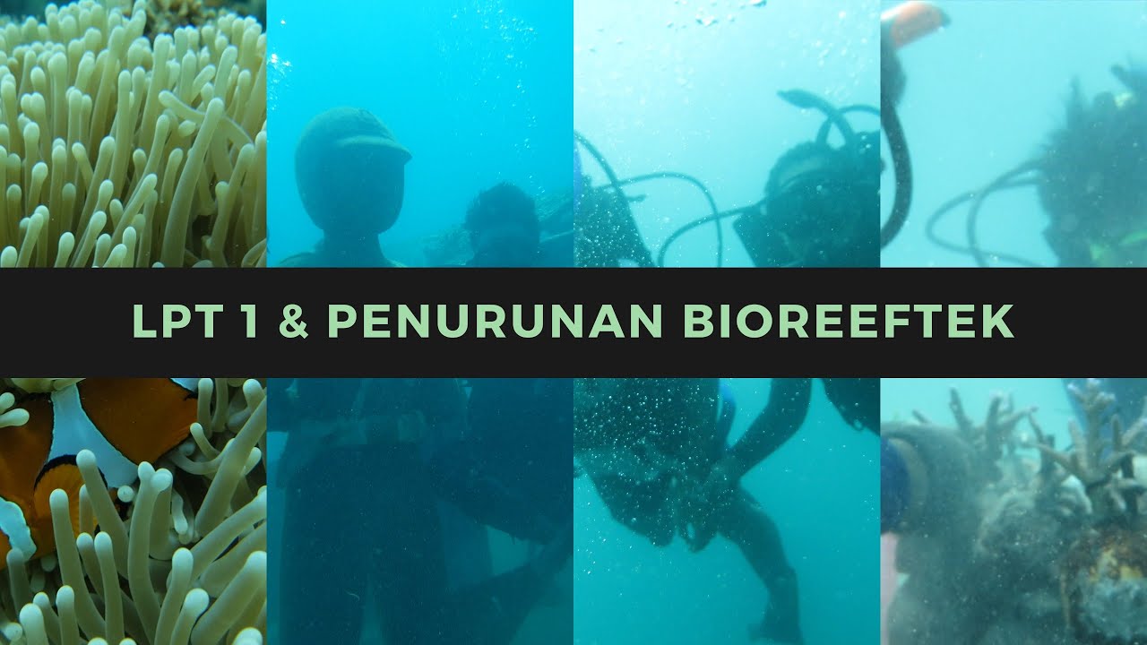 Bioreeftek Universitas Hang Tuah Diving Center - YouTube