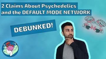 Psychedelics Don’t Silence the Default Mode Network? Two Claims Debunked