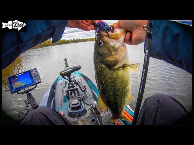 How to Catch Bass  Easy Bass Fishing Tips - Wired2Fish