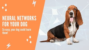 Neural Networks For Your Dog - Promo