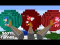 I found SECRET SONIC EXE PLANET in MINECRAFT animation! SECRET PANET of LAVA and WATER MOBS