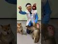 本物の動物で「桃太郎」を再現してみた!