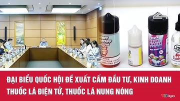 Đại biểu Quốc hội đề xuất cấm đầu tư, kinh doanh thuốc lá điện tử, thuốc lá nung nóng | VTV24