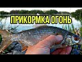 Рыбалка 2020 на Поплавок,Ловля ЛЕЩА и ЧЕБАКА в Камыше.