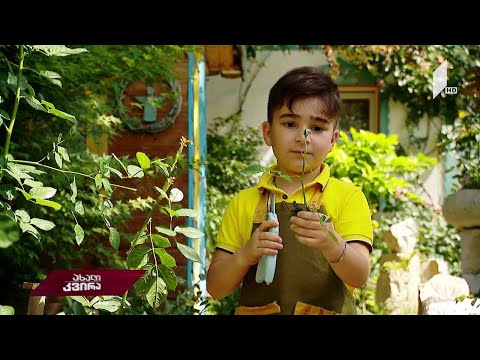 #ახალიკვირა შვიდი წლის მებაღე