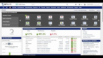 NetSuite Dashboard Overview