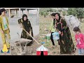 Asiyeh's effort to build a shelter for herself and her daughters😰🙏, 