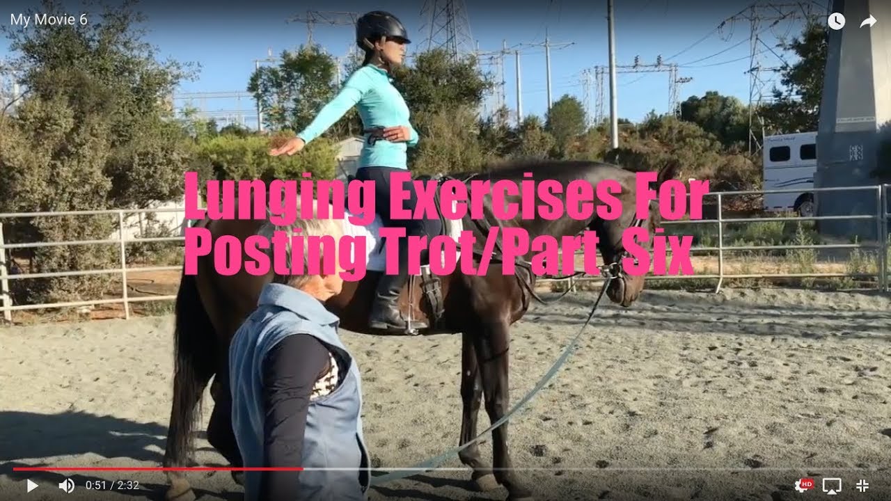 Rider Biomechanics Lunging Exercises for Posting Trot/Part Six YouTube