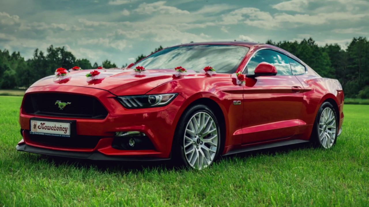 Mustang GT 5.0 2016 do ślubu - YouTube