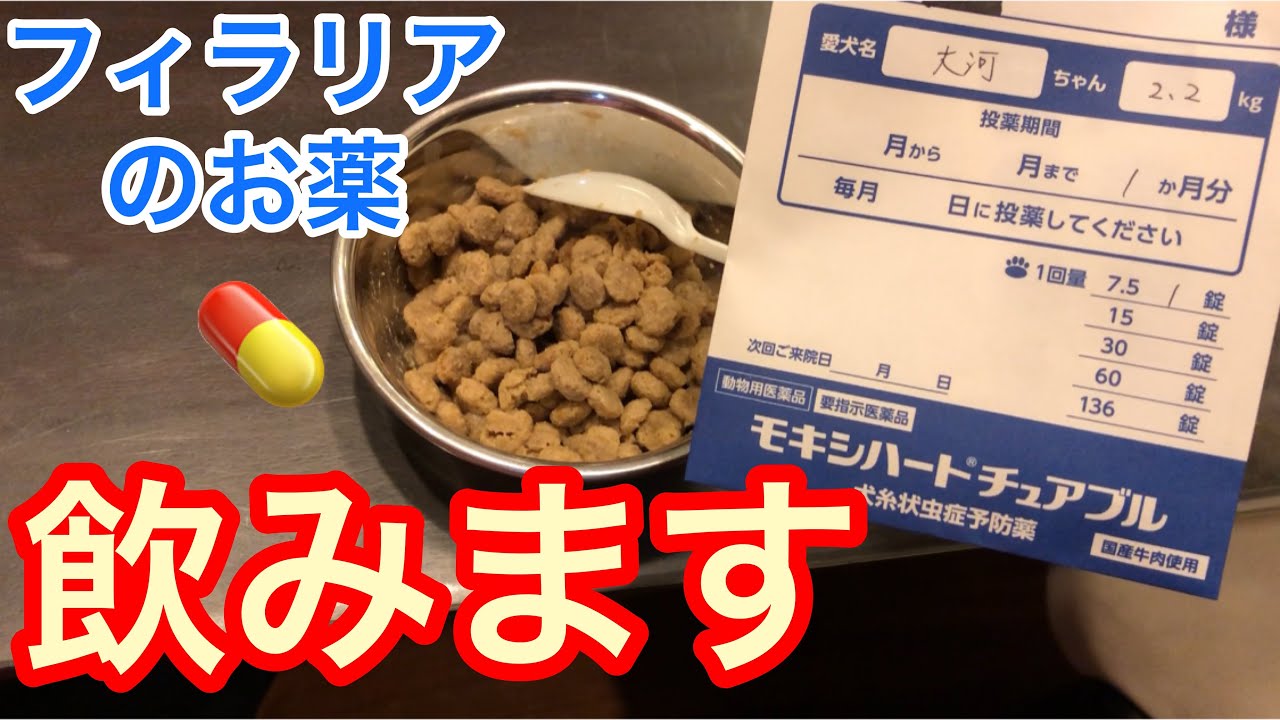 モキシクリスのリーフレット