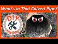 What's in That Old Culvert Pipe? Cleaning Out the Old Culvert Pipe (#13)