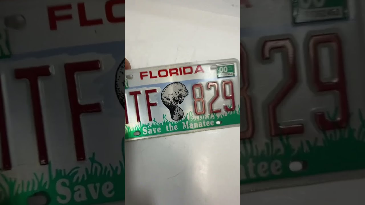 Save the Manatee Florida License Plate HTF 829 Original Automobili
