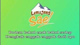 Lumajang Sae Karaoke (No Vocal)