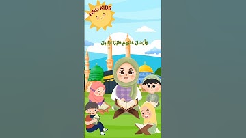 #سورة_الفيل #قران_كريم #quran #قران_للاطفال