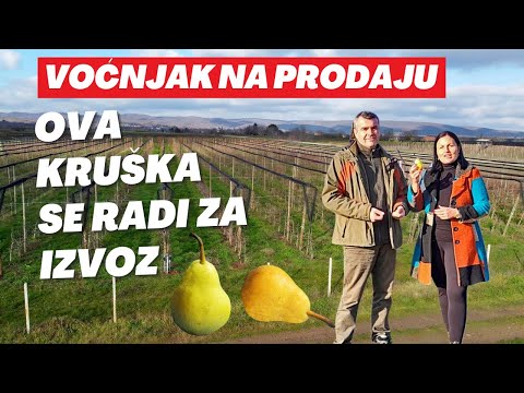 Vocnjak kruske na prodaju - Fruska gora