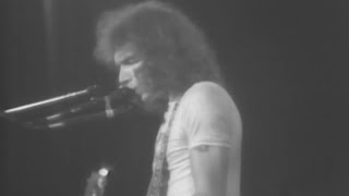 Hot Tuna - I Wish You Would - 11/20/1976 - Capitol Theatre