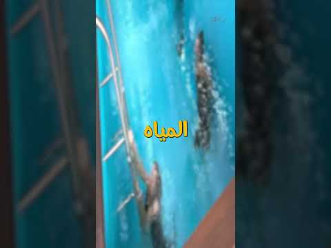 إزاي تغطس تحت الماية ومتتبلش   اكسبلور ترند