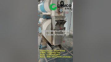 Introducing the Ring Die Feed Pellet Machine: Improving Feed Production Efficiency #shorts