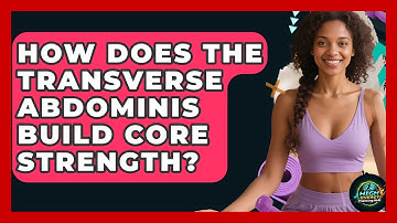 How Does The Transverse Abdominis Build Core Strength? - High Energy Training Hub