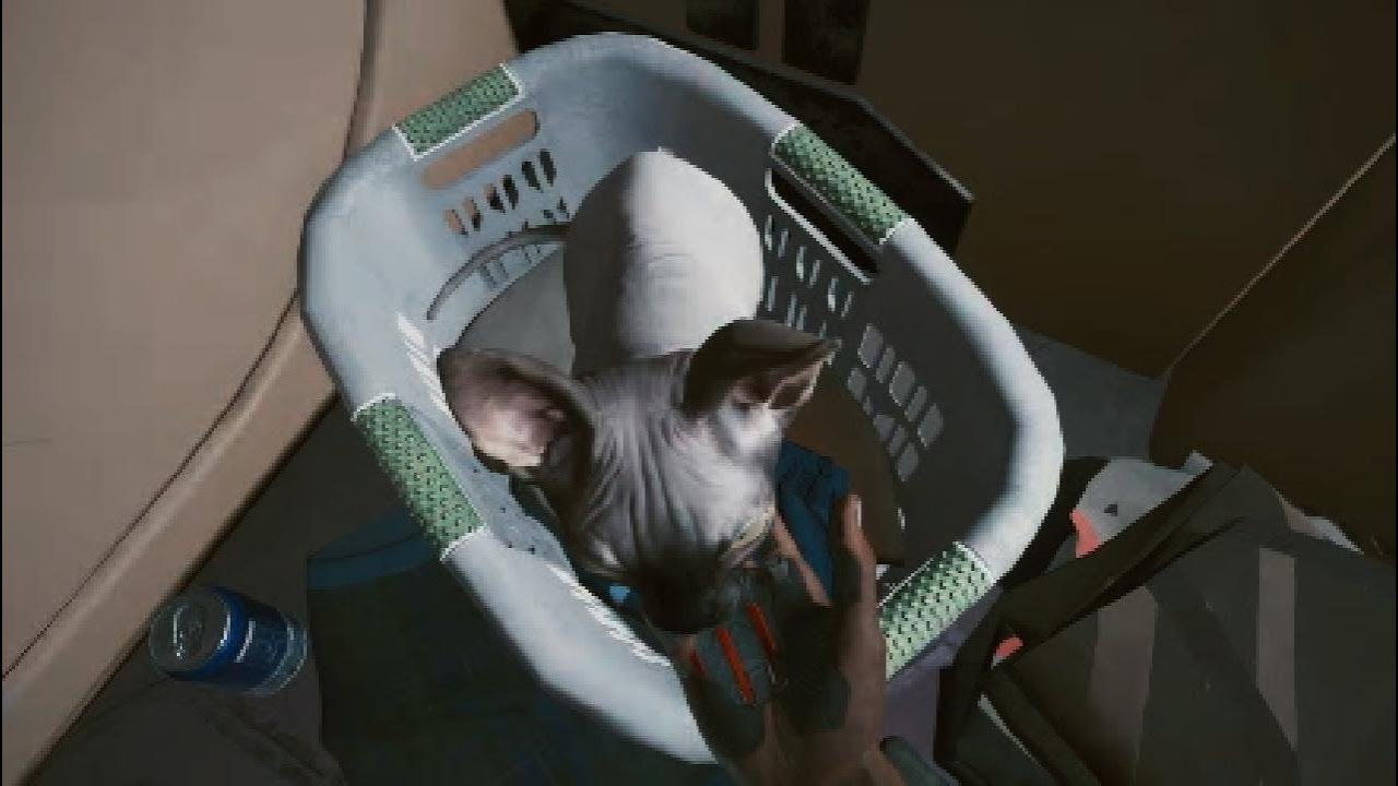 サイバーパンク2077 ver 1.31 猫(ニブルズ)を飼う手順になります