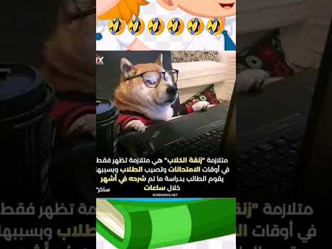 متلازمة زنقة الكلاب
