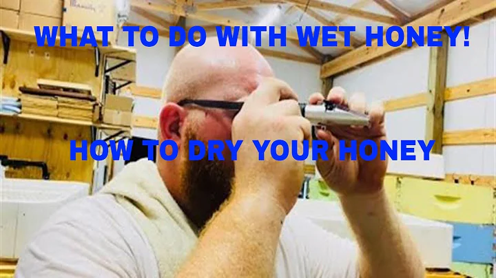 What to do with WET Honey!
