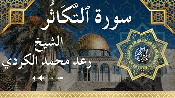 102 Surat At Takaathur  Al Sheikh Raad Mohammad Al Kurdi  الشيخ رعد محمد الكردي   سورة التكاثر كاملة