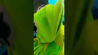 Kermit Having A Voice Malfunction