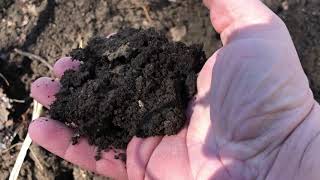 What is Top Soil and why you cannot buy it