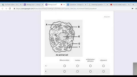 How to limit the Responses on Google Forms, and two more features.