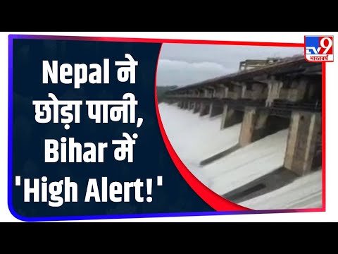 भारी बारिश के चलते Nepal ने छोड़ा पानी, Bihar में 'High Alert!' कई जिलों में तबाही का मंजर | Flood