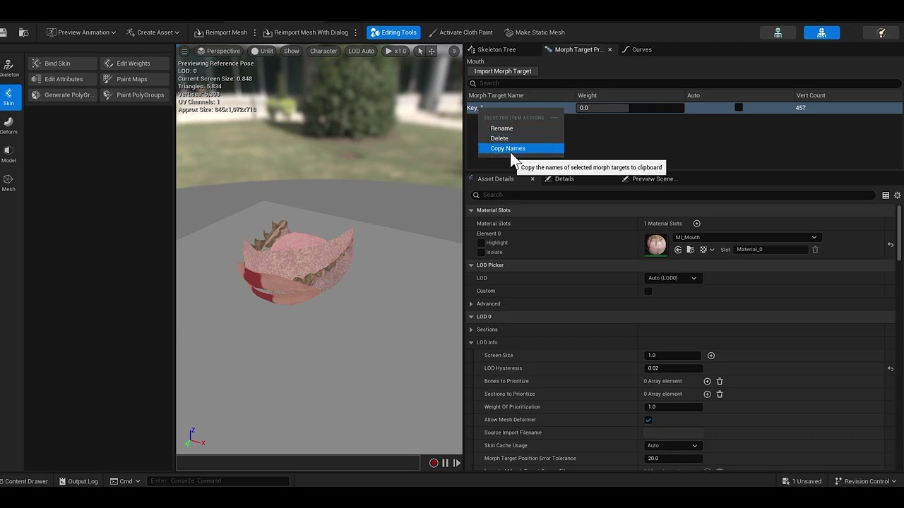 UE Morph Target Timeline Play Reverse Node: Set Morph Target