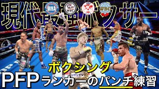 【ボクシング】最強PFPランカー達のパンチ練習を比較してみた【世界王者】