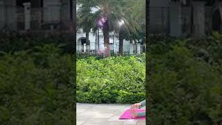 Bikini micro try on haul transparent |Bikini Yoga Session for Core Strength #Shorts