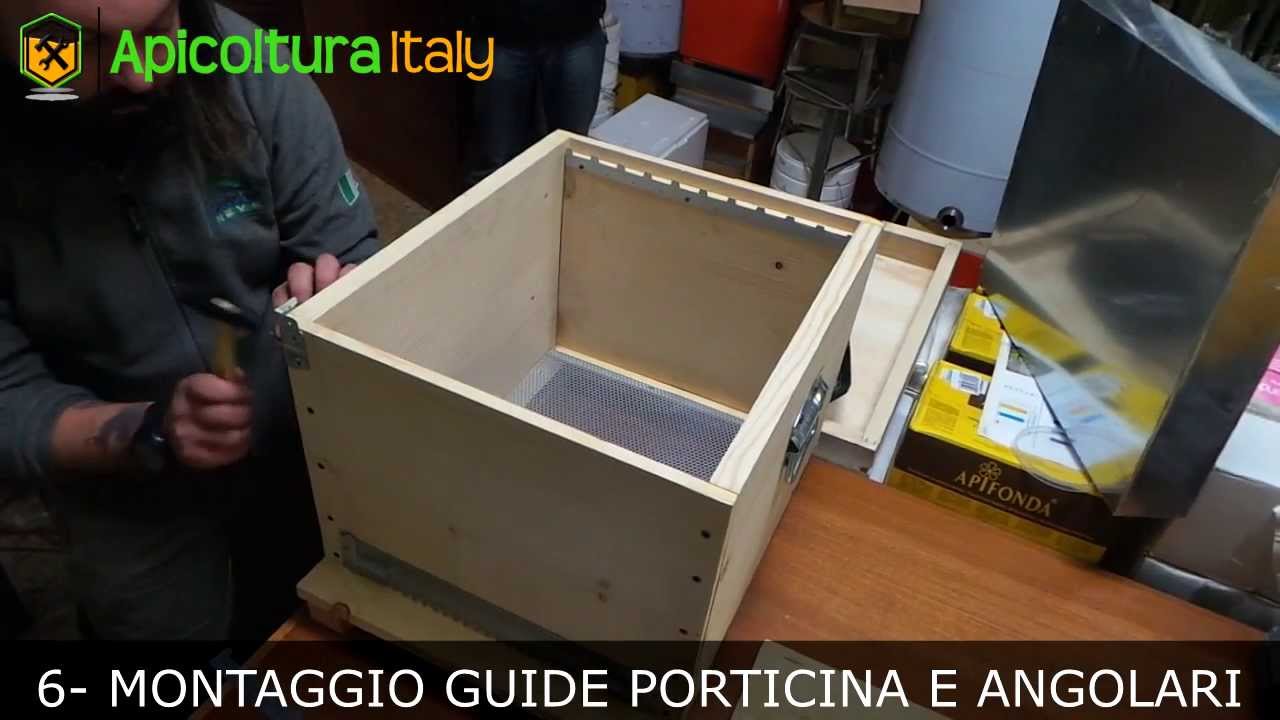 montaggio arnia cubo