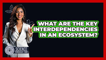 What Are The Key Interdependencies In An Ecosystem? - Science Through Time