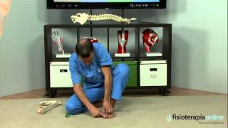 Tratamiento del juanete o hallux valgus  Fisioterapia Bilbao